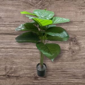 B02- Planta Grande con Maceta