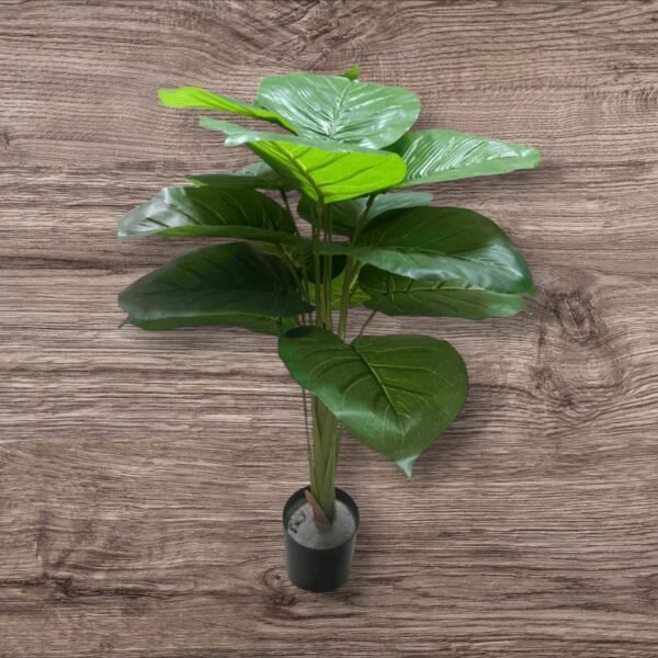 B02- Planta Grande con Maceta