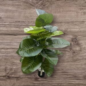 WhatsApp Image 2025-02-25 at 13.53.34 0062-19 Planta Grande con Maceta