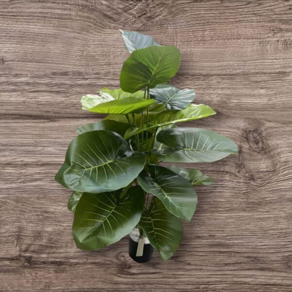 0062-19 Planta Grande con Maceta