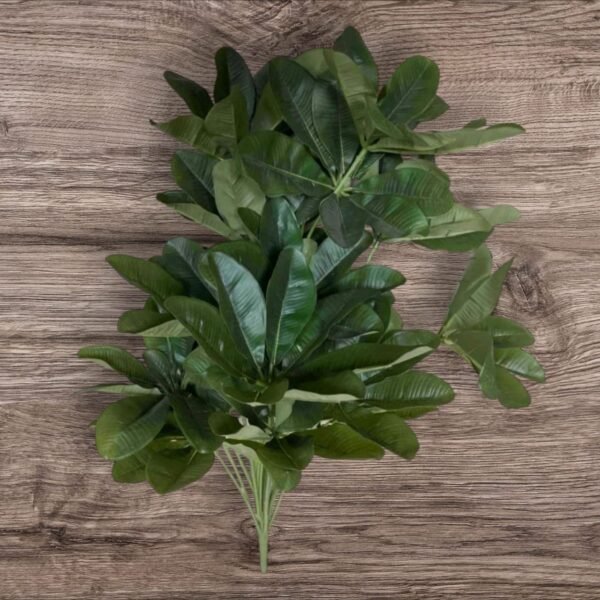 0062-20-1 Planta Grande sin Maceta