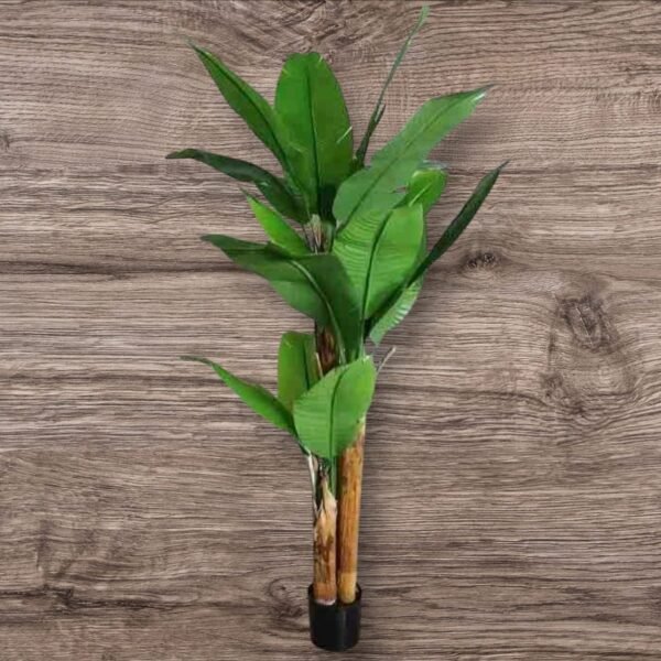 WhatsApp Image 2025-02-25 at 15.44.30 (2) BF-410-190 Árbol Grande Hojas Largas y Anchas con Maceta