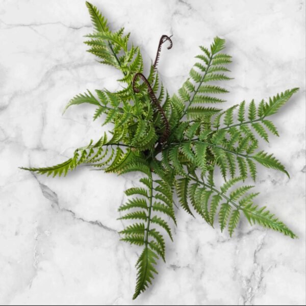 Hm0020 Ramo de Helecho