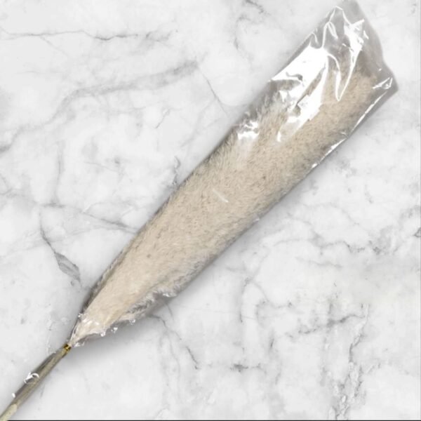 026 Cola de Zorro Natural