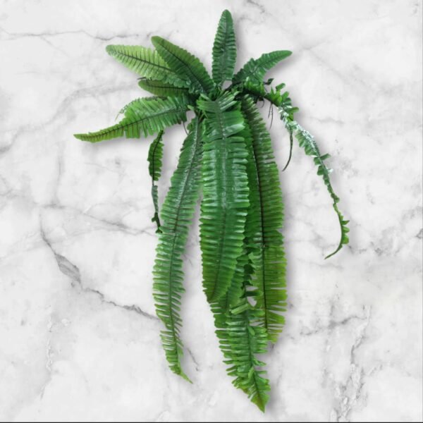 3004 Rama Grande Helecho