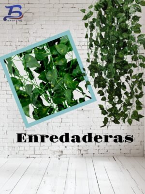 BF-50-2 Enredadera