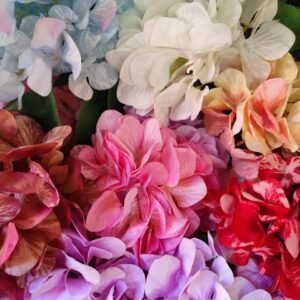 4681 Ramo Flores Hortensias Colores