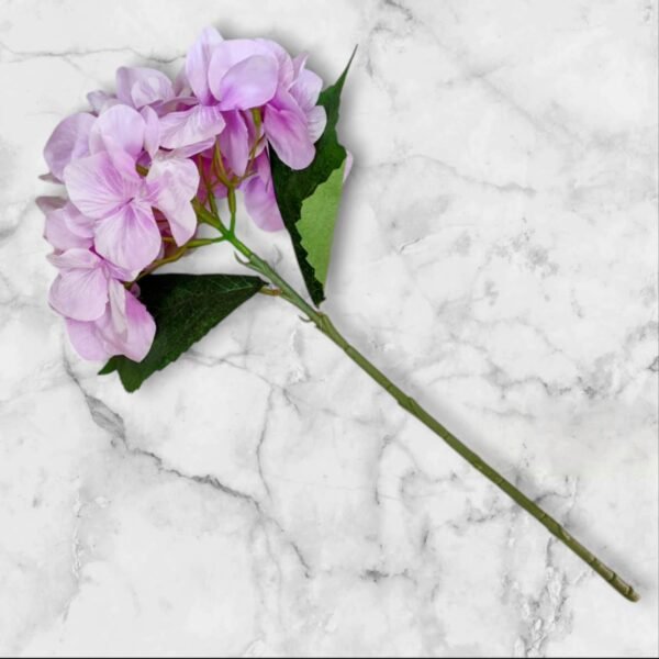 WhatsApp Image 2025-03-15 at 02.01.27 4681 Ramo Flores Hortensias Colores