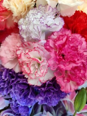 k962 Ramo Claveles Colores