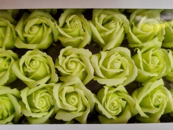 G48812 Caja de 50 Rosas Jabón Aromático