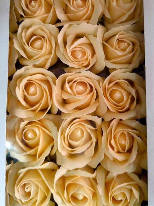 G48812 Caja de 50 Rosas Jabón Aromático