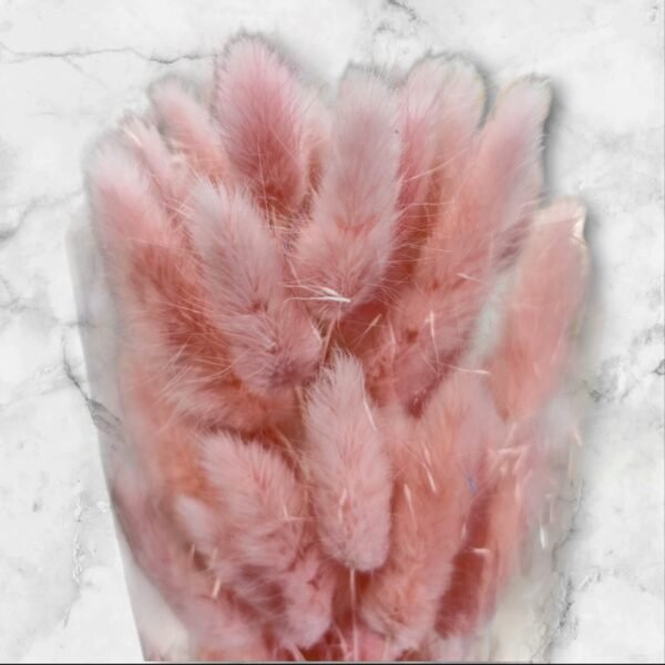 0040 Ramo de Cola de Zorro Natural Colores