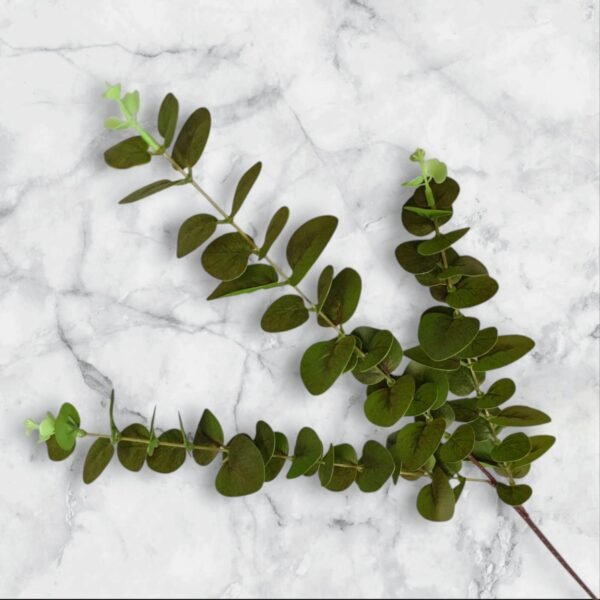 6884 Ramo de Hojas Redondas