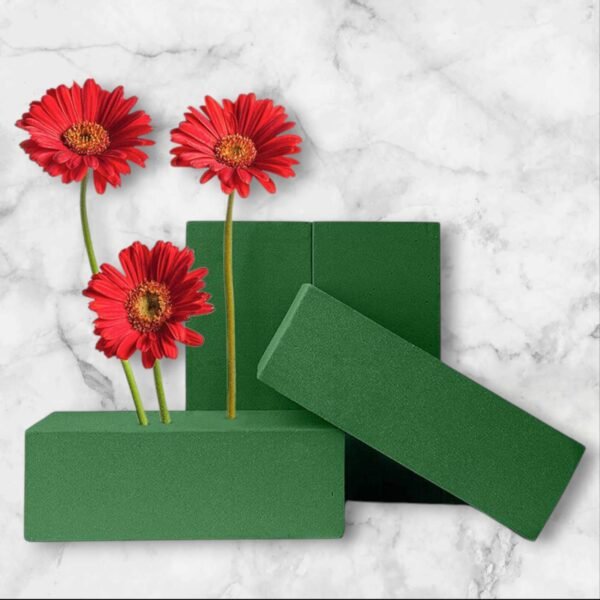 0198 Oasis Espuma Floral