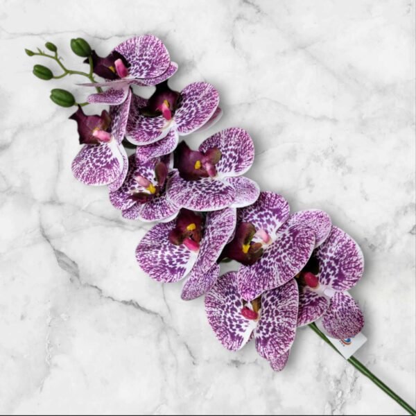 7013 Rama de Orquídea Colores