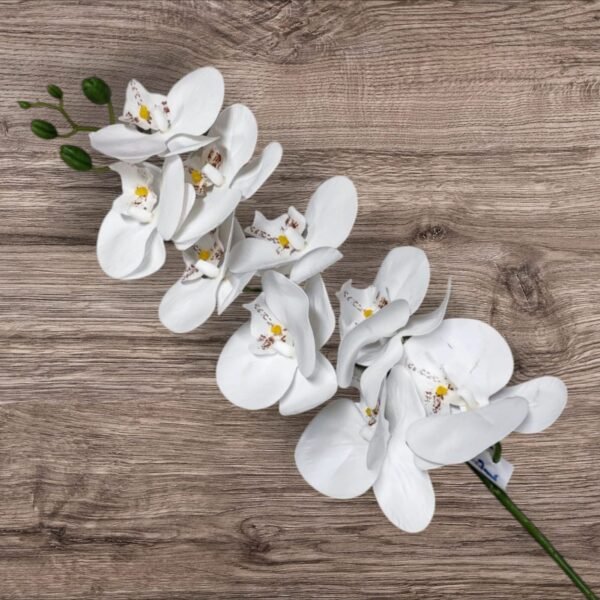 7013 Rama de Orquídea Colores