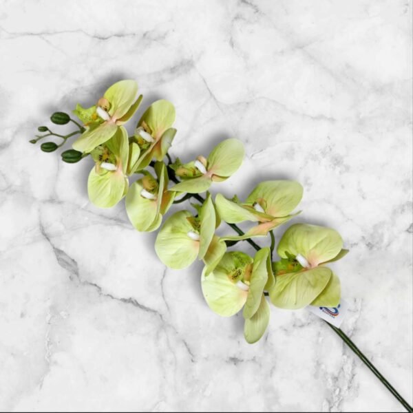 7013 Rama de Orquídea Colores