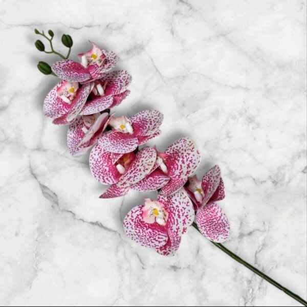 7013 Rama de Orquídea Colores