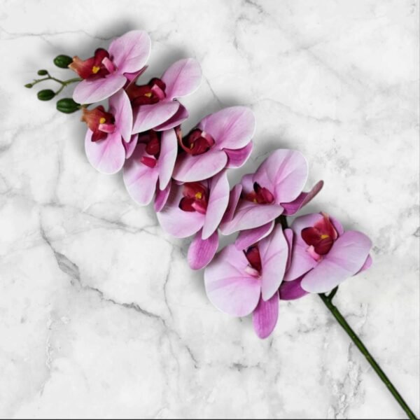 7013 Rama de Orquídea Colores