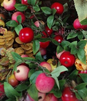 BF-106 Ramo con Frutas Rojas