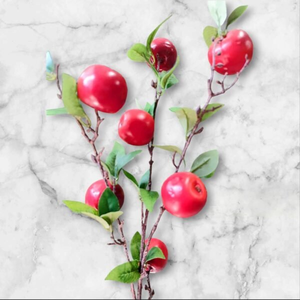 BF-106 Ramo con Frutas Rojas