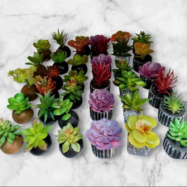 LY-7688 Mini Suculentas Vibrantes