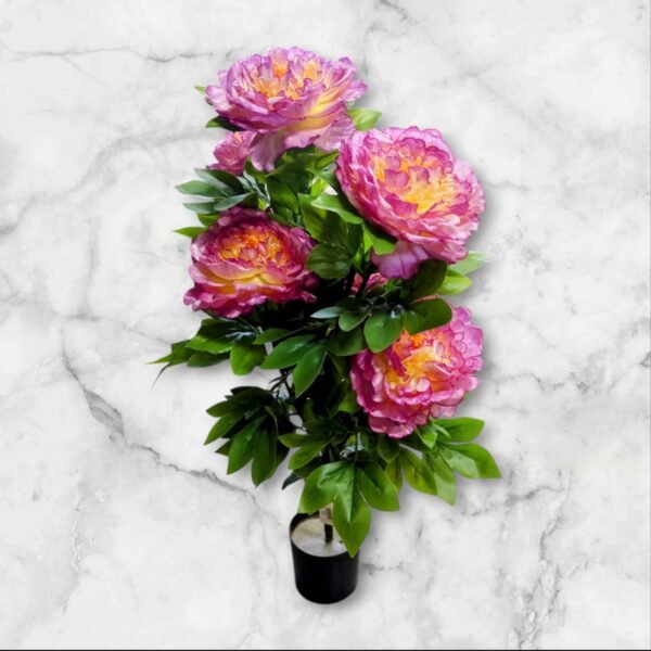 0062-5-1 Planta de Peonias Grande en Maceta