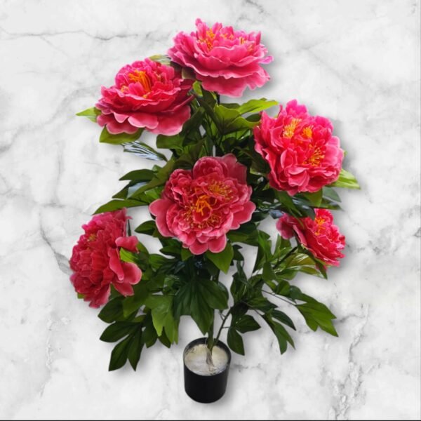 0062-5-1 Planta de Peonias Grande en Maceta