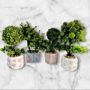 CZ8073 Planta Bonsái de Jade Mediano