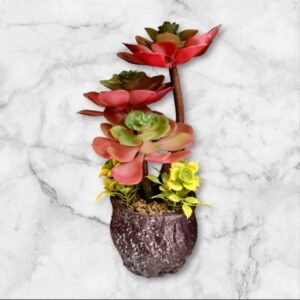 LY-76816 Arreglo en Maceta Suculentas