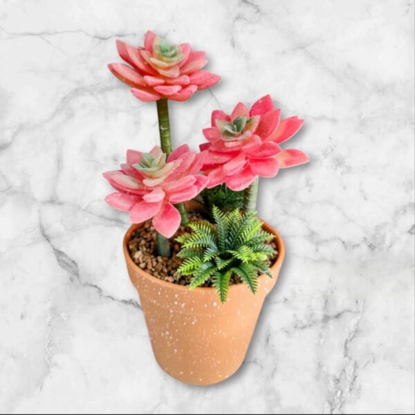 WhatsApp Image 2025-04-04 at 14.25.58 LY-7685 Arreglo Suculenta en Maceta de Greda con Helecho