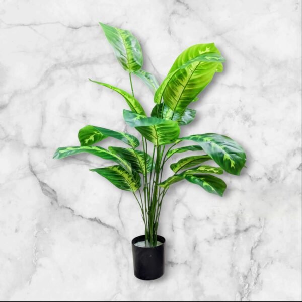 WhatsApp Image 2025-04-07 at 10.29.28 (2) BF-95 Planta Grande Amoena Hojas en Degrade