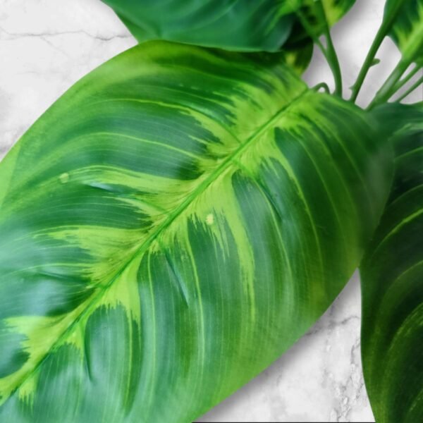 WhatsApp Image 2025-04-07 at 10.29.29 BF-95 Planta Grande Amoena Hojas en Degrade