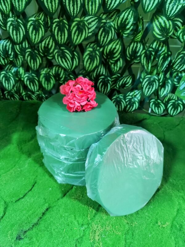 0149 Oasis Redondo Espuma Floral