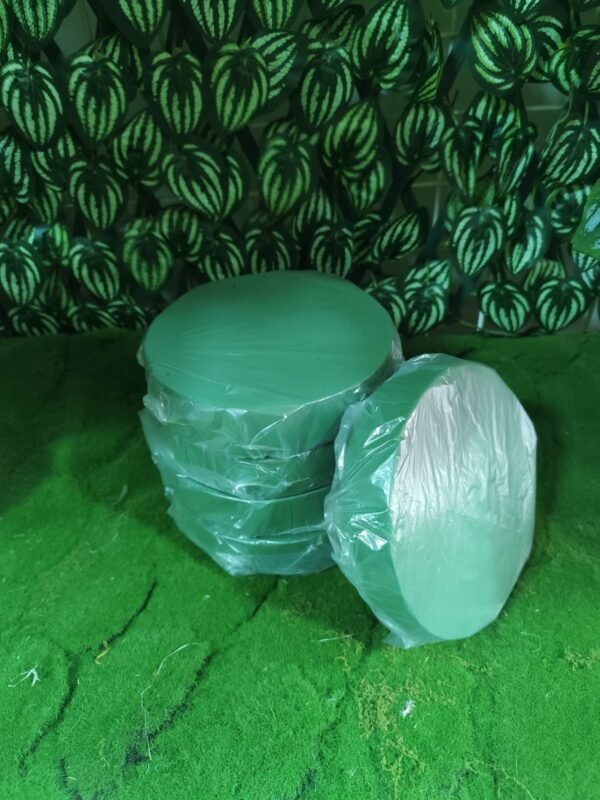 0149 Oasis Redondo Espuma Floral