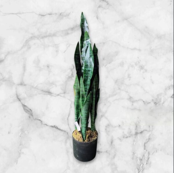 JWT3021 Sansevieria / Lengua de Suegra Artificial