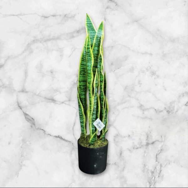 JWT302 Sansevieria / Lengua de Suegra Artificial