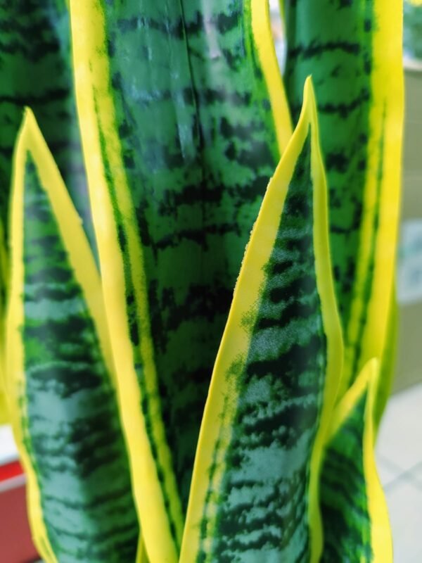 JWT302 Sansevieria / Lengua de Suegra Artificial