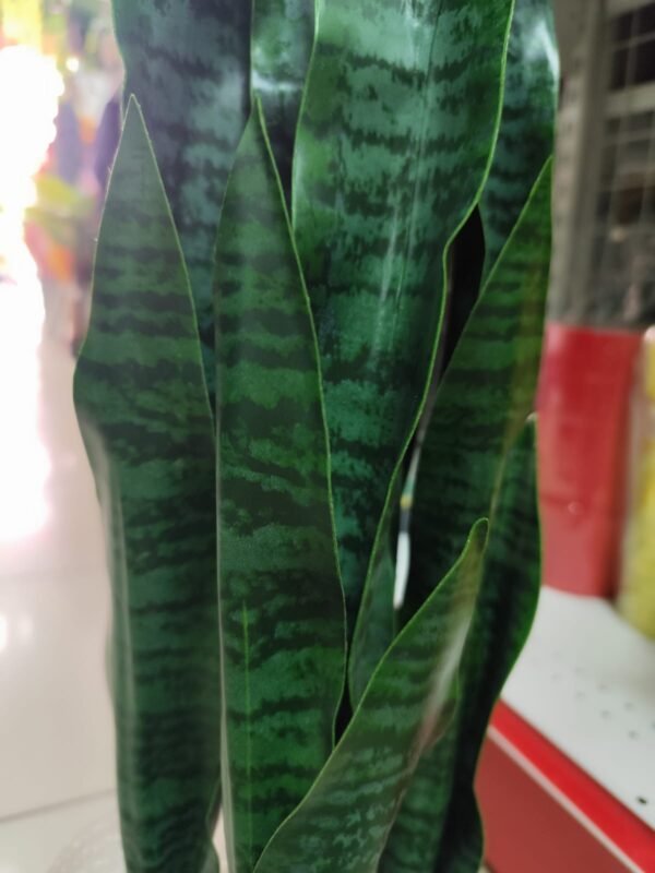 JWT3021 Sansevieria / Lengua de Suegra Artificial