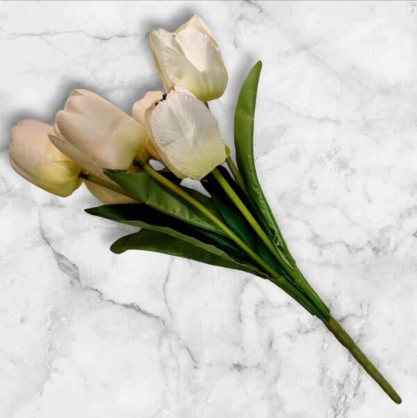 BF-123 Ramo de Tulipanes