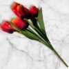 BF-123 Ramo de Tulipanes