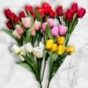 BF-123 Ramo de Tulipanes