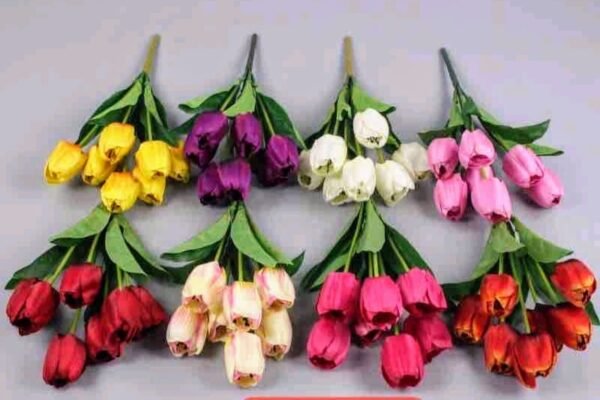 BF-123 Ramo de Tulipanes