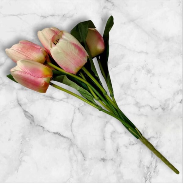 BF-123 Ramo de Tulipanes