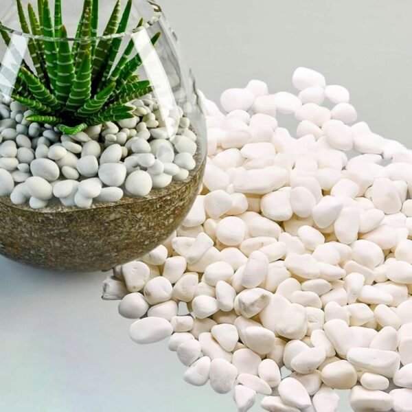 C0001 Piedras de Rio Blanca Tamaño Pequeño