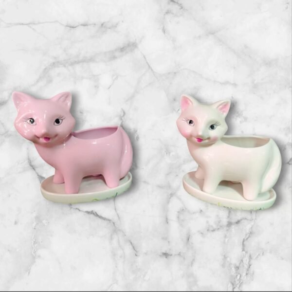 XN0002 Maceta de Zorrito en Cerámica con Plato