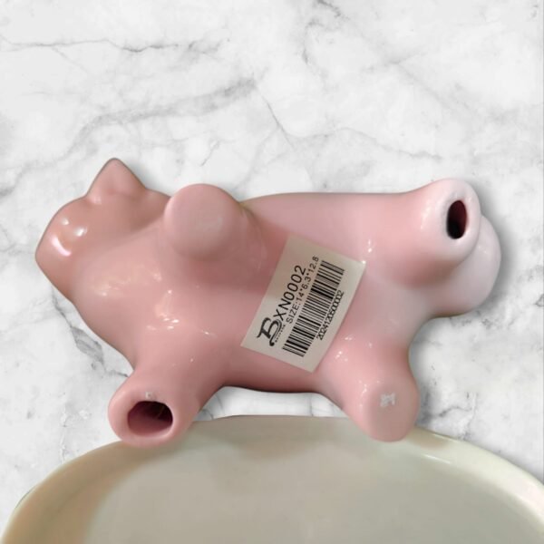 XN0002 Maceta de Zorrito en Cerámica con Plato