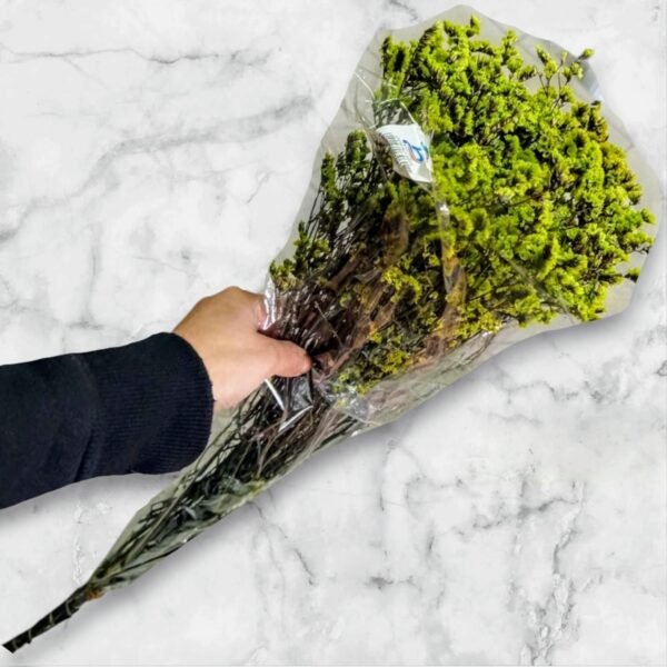 6011 Ramo Flores Secas Naturales