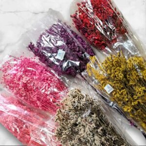 6011 Ramo Flores Secas Naturales