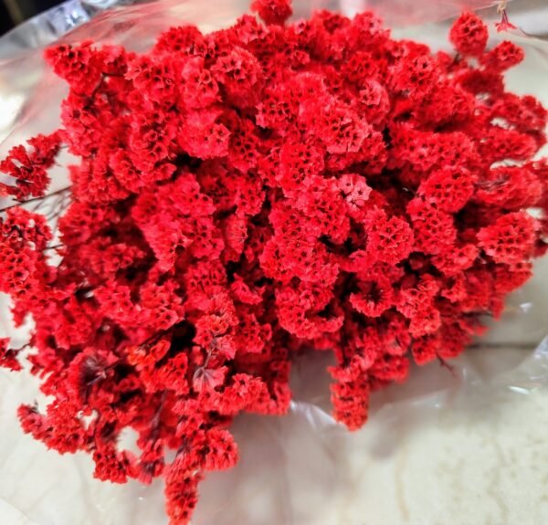 6011 Ramo Flores Secas Naturales